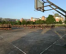 爱游戏全站 -浙江队训练开放日，今晨造点机会引欢呼，CBA常规赛在即，临场指挥获称赞的简单介绍